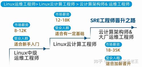 初学者入门 运维大数据处理与运维服务指南