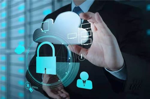 禹州喜讯 联网信息服务互务创新，全城瞩目新篇章